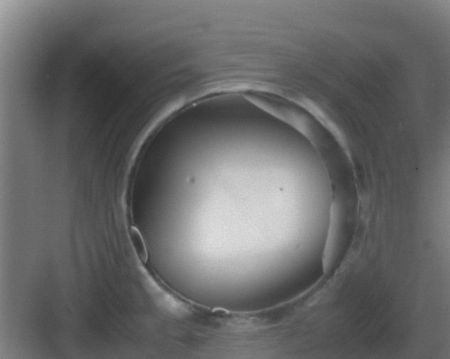 X0000083031189200702091335