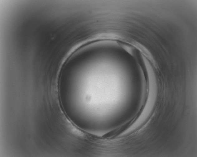 X0000083031192200702091335