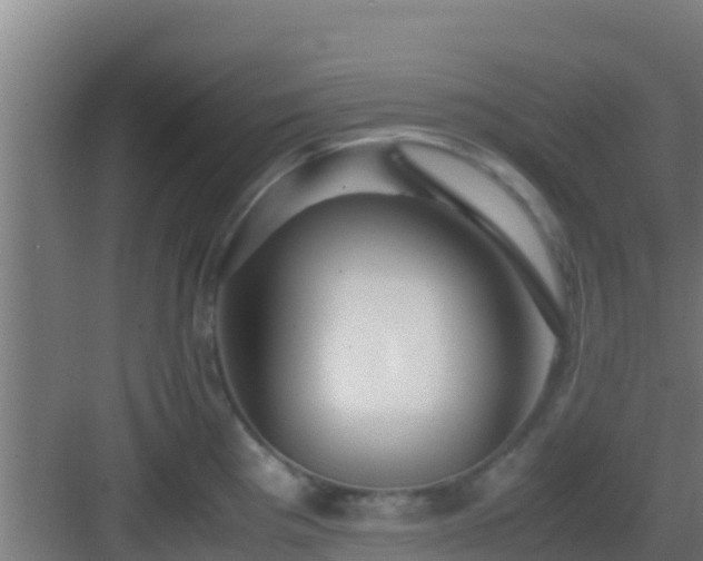 X0000083031193200702091335