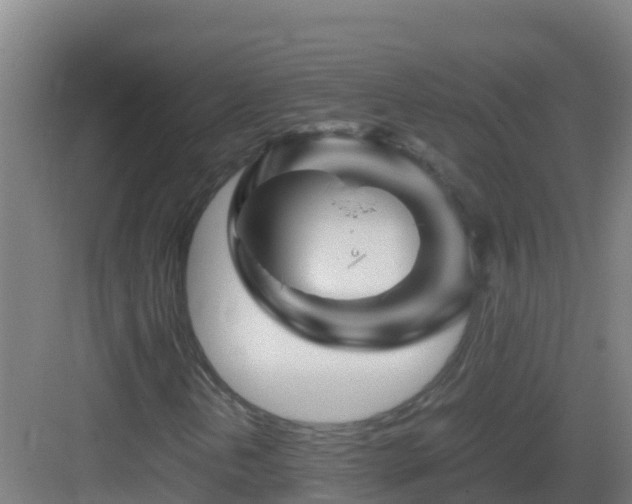 X0000083031202200702091334