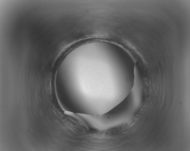 X0000083031214200702091334