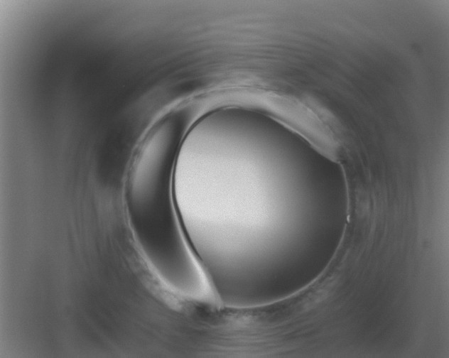 X0000083031230200702091334
