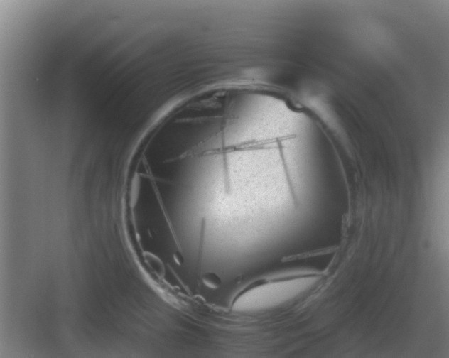 X0000083031237200702091334