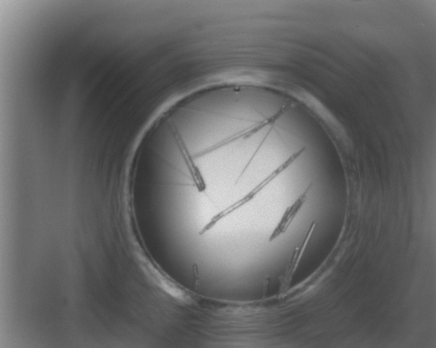 X0000083031240200702091334