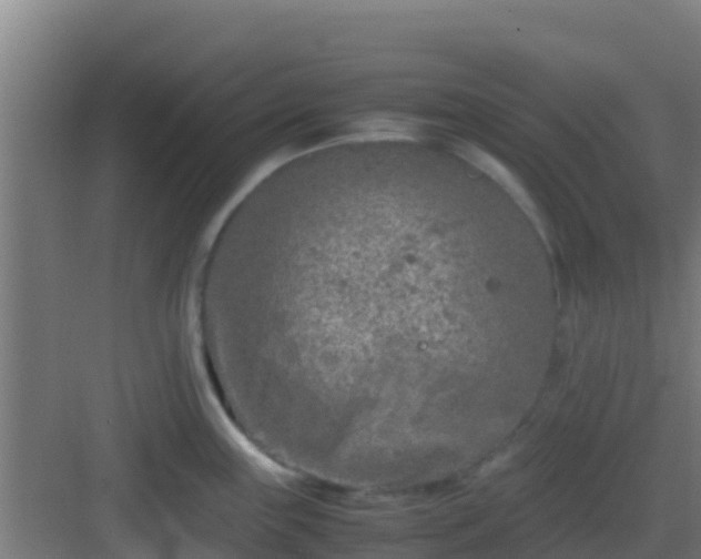 X0000083031243200702091335