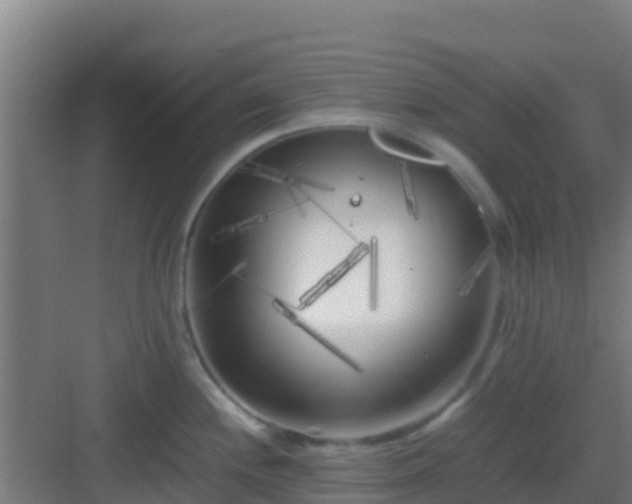 X0000083031244200702091335