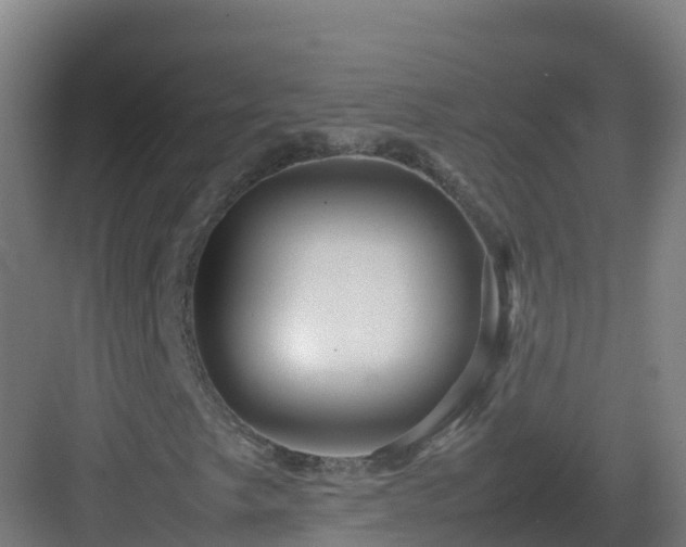 X0000083031249200702091334
