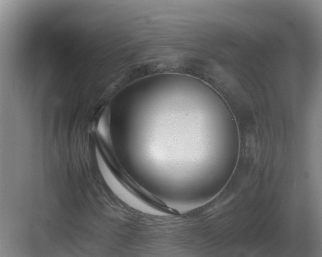 X0000083031250200702091334