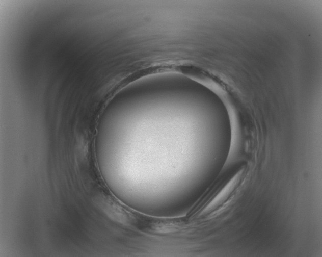 X0000083031257200702091334