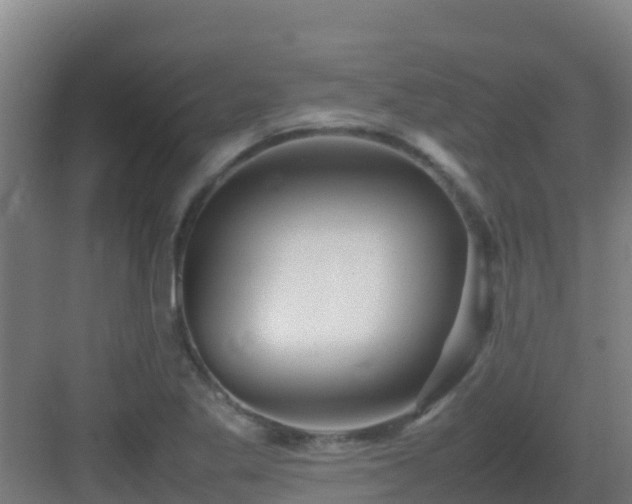 X0000083031269200702091333