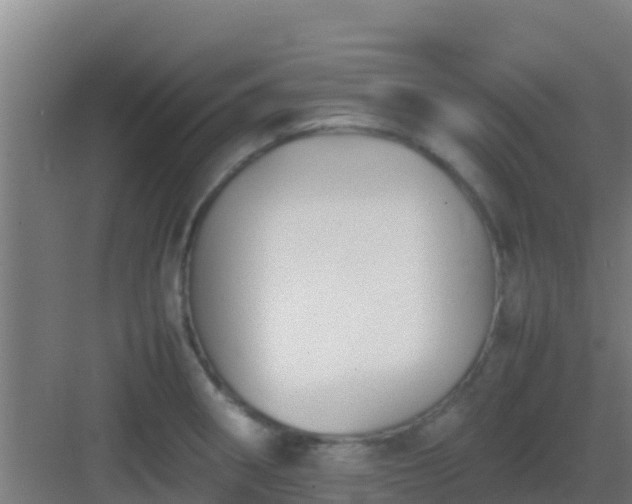 X0000083031282200702091333