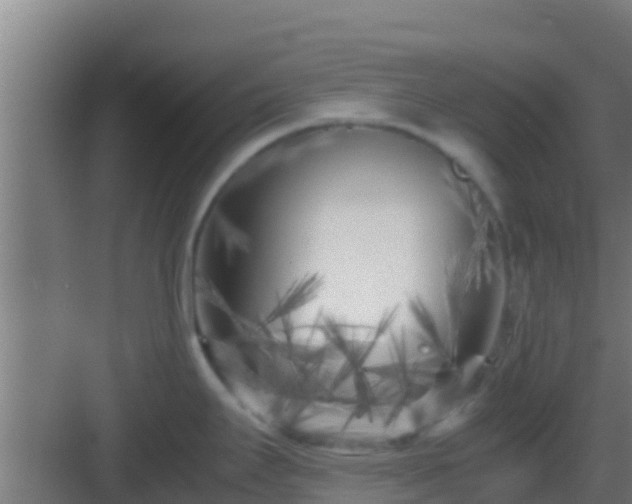 X0000083031295200702091333