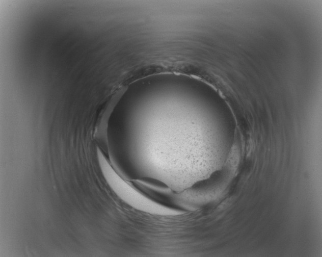 X0000083031298200702091332