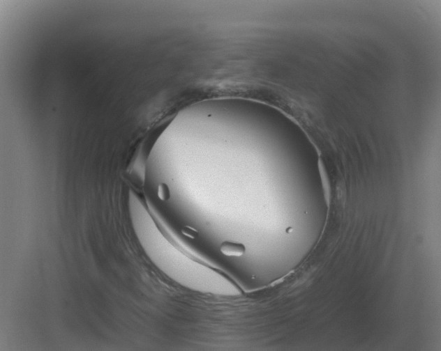 X0000083031300200702091332