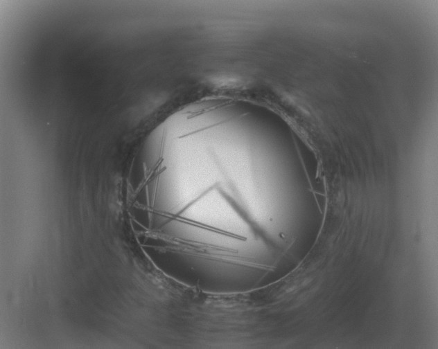 X0000083031301200702091332