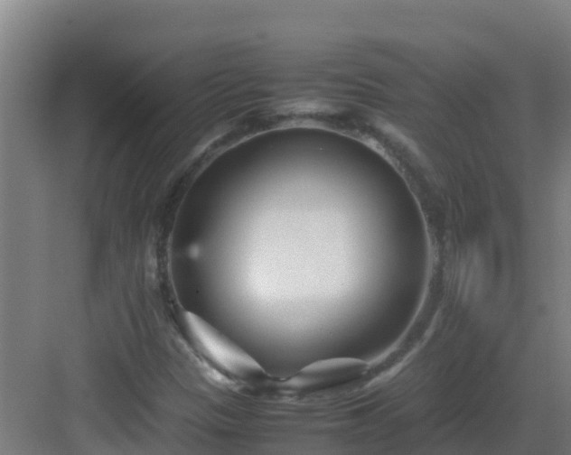 X0000083031305200702091332