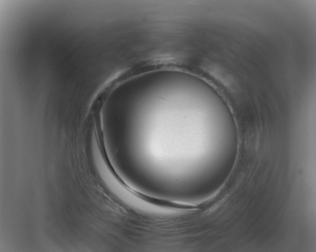X0000083031309200702091332