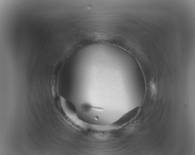 X0000083031348200702091332