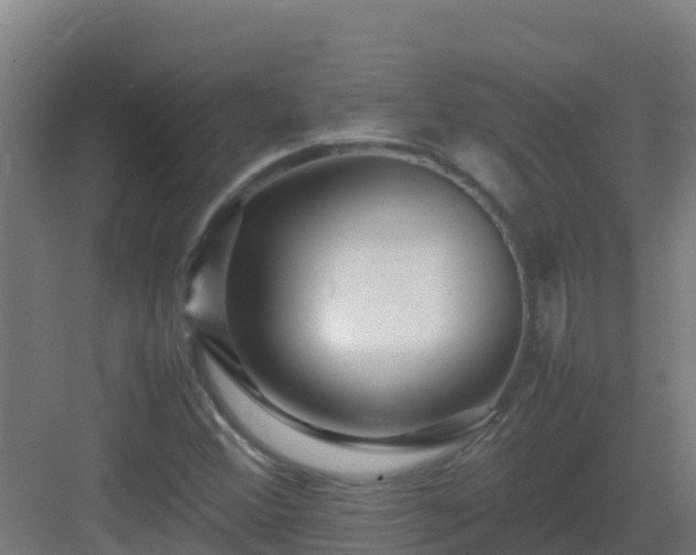 X0000083031356200702091332