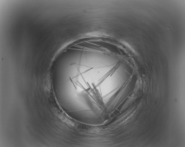 X0000083031358200702091332