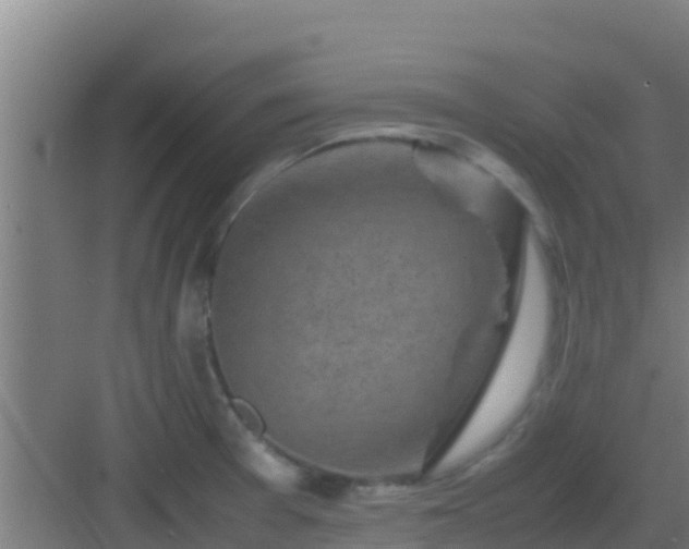 X0000083031377200702091332