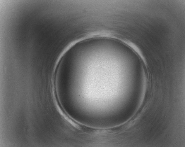 X0000083031389200702091331