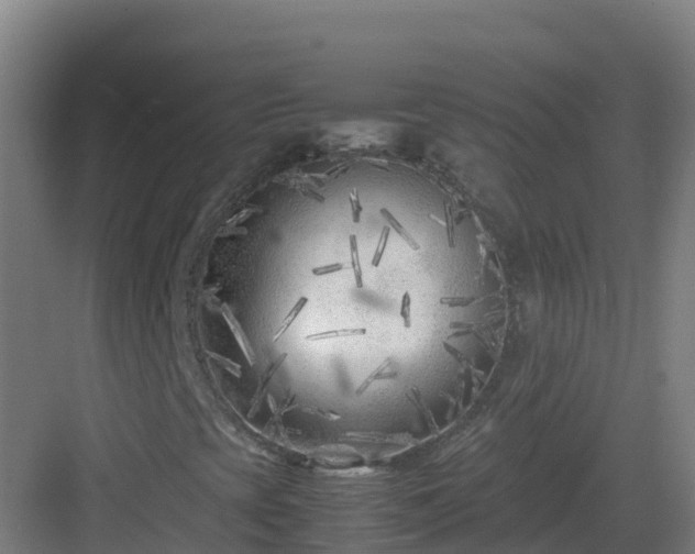 X0000083031393200702091331