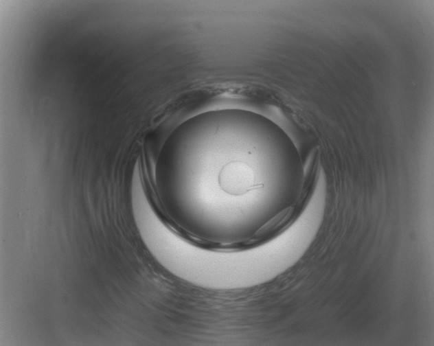 X0000083031394200702091331