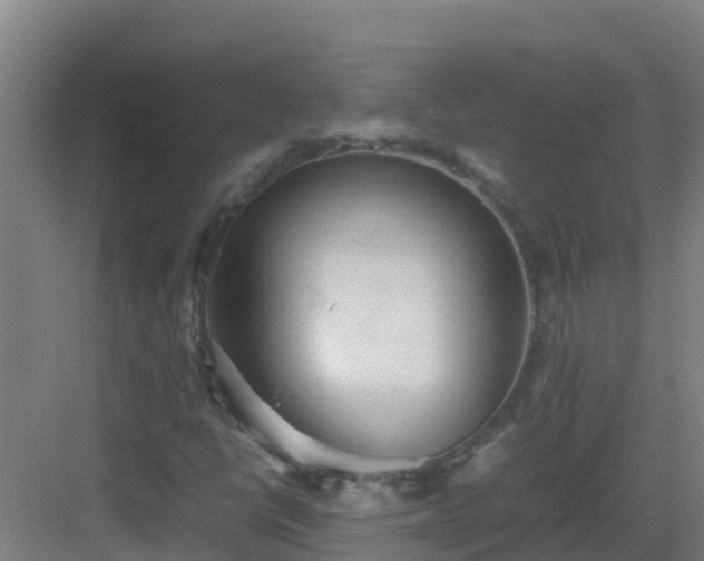 X0000083031398200702091331