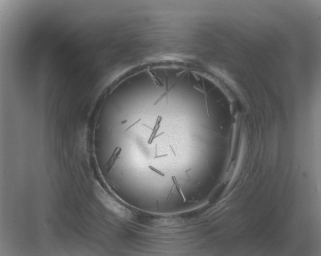 X0000083031404200702091331