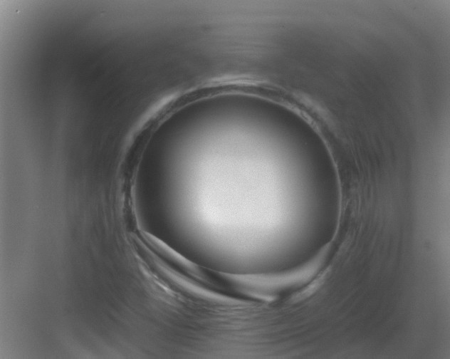 X0000083031406200702091331