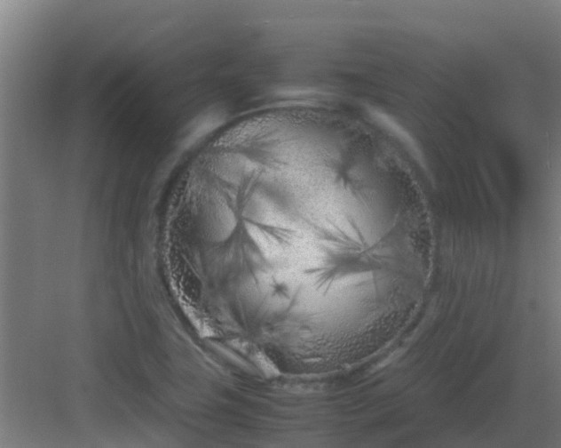 X0000083031411200702091331