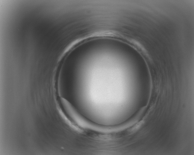 X0000083031422200702091331