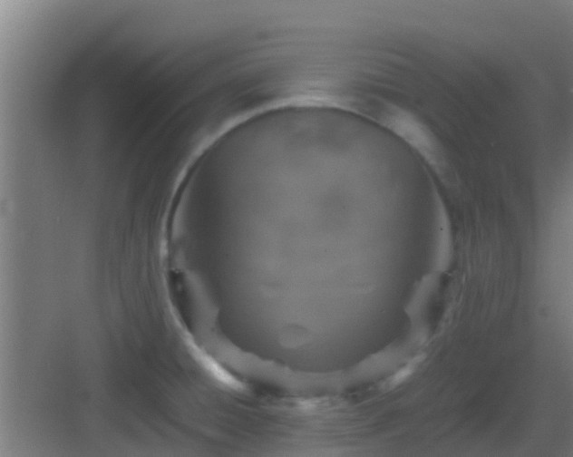 X0000083031428200702091331
