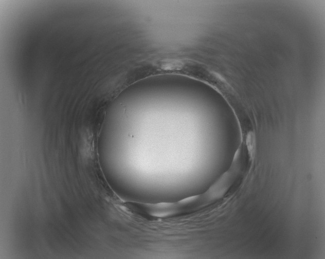 X0000083031443200702091331