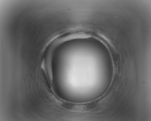 X0000083031453200702091330