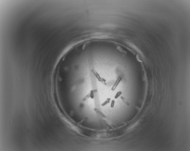 X0000083031467200702091330