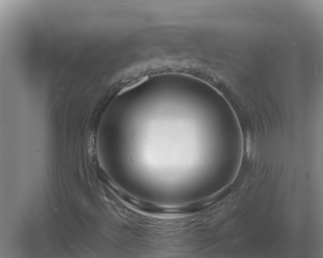 X0000083031492200702091329
