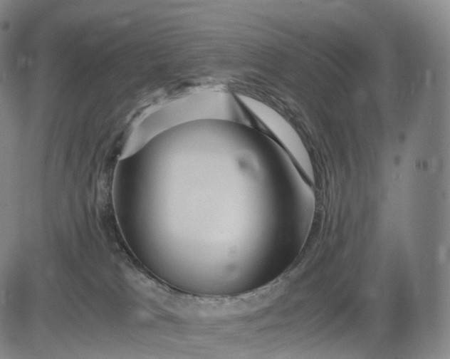 X0000083030037200702161652