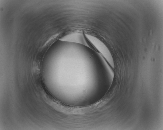 X0000083030040200702161652