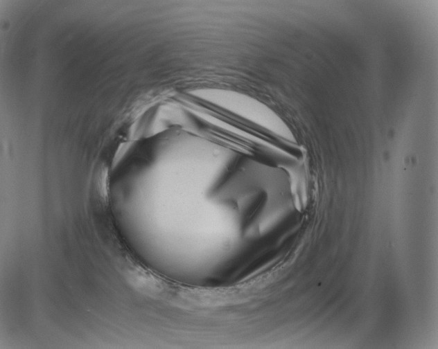 X0000083030041200702161652