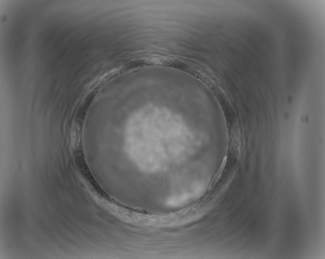 X0000083030043200702161652