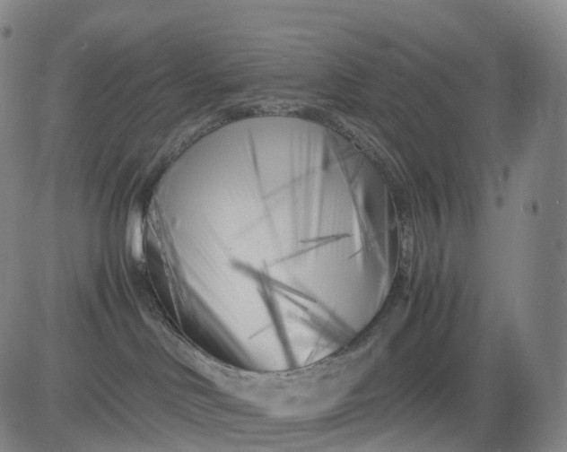 X0000083030046200702161652