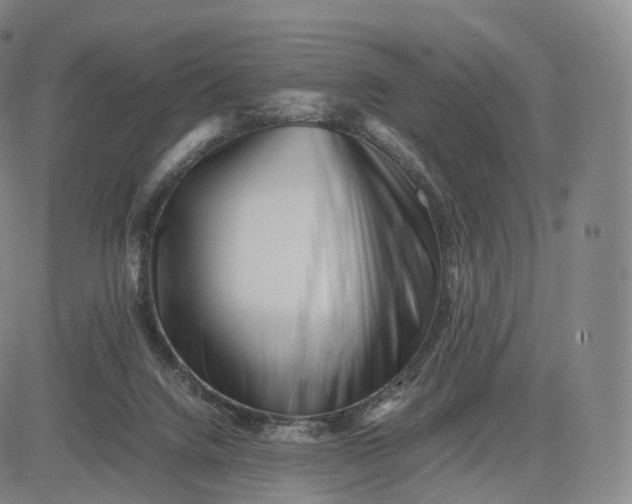 X0000083030072200702161652