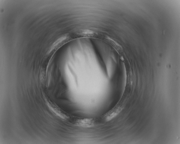 X0000083030092200702161652