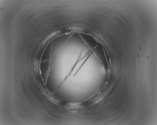 X0000083030093200702161652