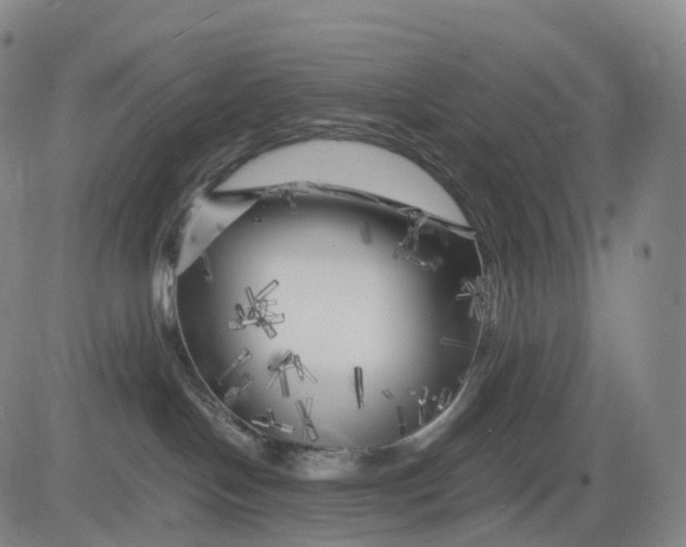 X0000083030094200702161652