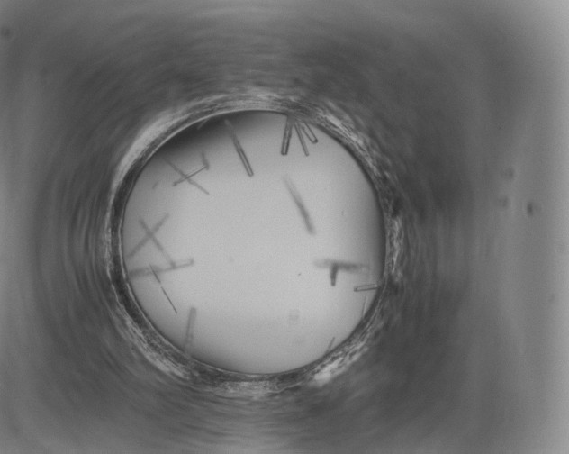X0000083030102200702161651