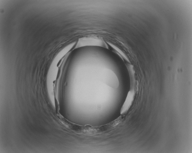 X0000083030125200702161651