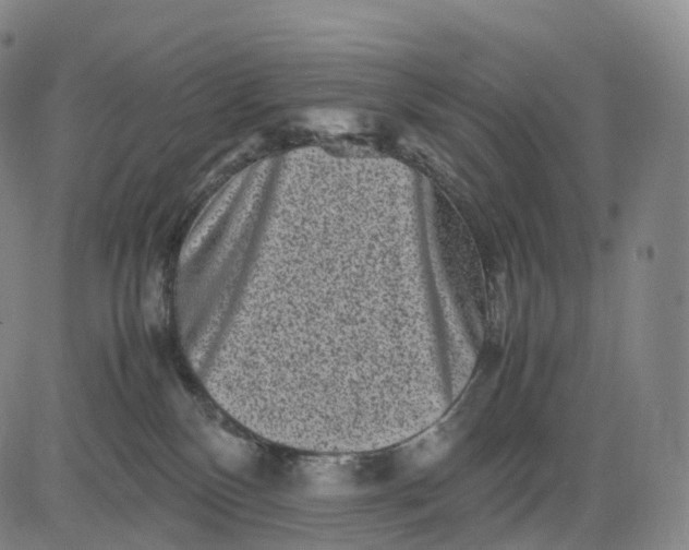X0000083030136200702161651